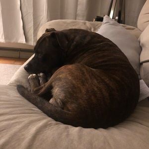 Meet your Posher, Crystal